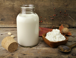 Image showing Milk And Cottage Cheese