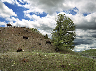 Image showing Mountain Landscape