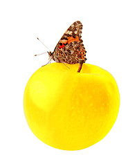 Image showing butterfly on apple