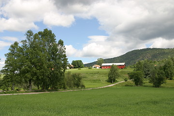 Image showing Farm