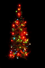 Image showing xmas tree