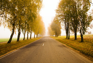 Image showing Road to a fog (autumn)