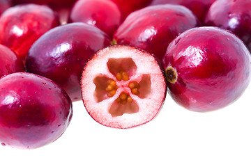 Image showing Cranberry (isolated)