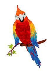 Image showing Starring parrot
