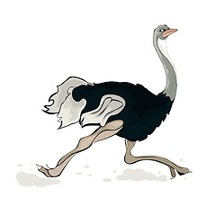 Image showing A running ostrich