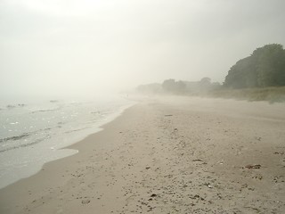 Image showing misty day