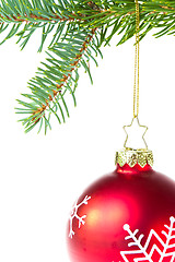 Image showing red christmas ball on branch