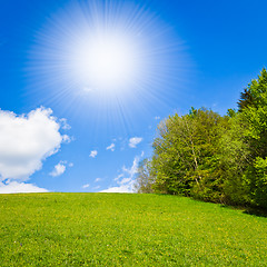 Image showing green field