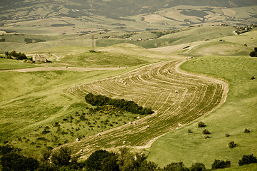 Image showing Typical Tuscan landscape