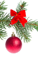 Image showing christmas ball on branch