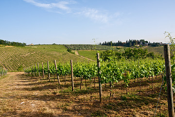 Image showing Typical Tuscan landscape