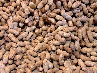 Image showing Peanuts