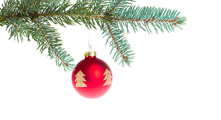 Image showing red christmas ball on branch