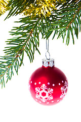 Image showing christmas balls on spruce branch