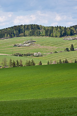 Image showing green field