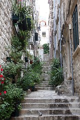 Image showing Street in Dubrovnik