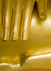Image showing Buddha's hand close up
