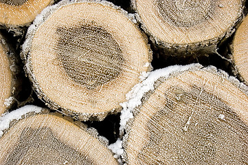 Image showing Pile of frozen logs