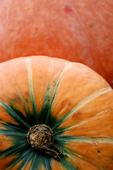 Image showing Autumn pumpkin composition