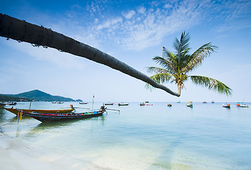 Image showing palm and boats on tropical beach