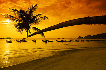 Image showing Sunset with palm and boats on tropical beach