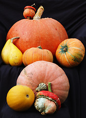 Image showing Autumn pumpkin composition