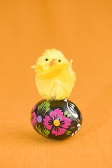 Image showing Chicken on easter egg