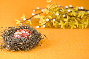 Image showing Nest with easter egg