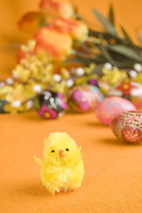 Image showing Chicken and easter eggs