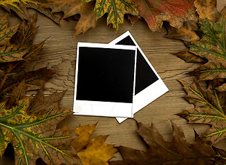 Image showing Polaroid frames over autumn background