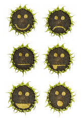 Image showing sunflower emoticons