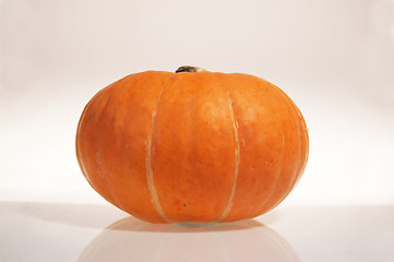 Image showing Pumpkin