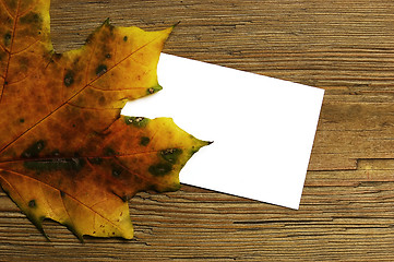 Image showing Autumn card