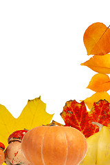 Image showing Autumn leaves