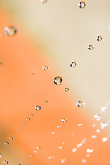 Image showing Water drops on spider web