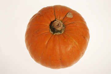 Image showing Pumpkin