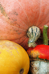 Image showing Autumn pumpkin composition