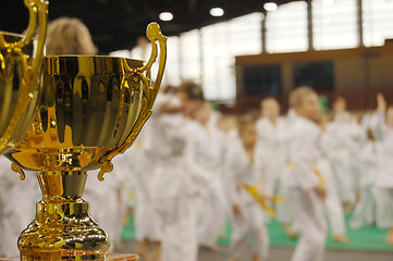 Image showing karate tournament