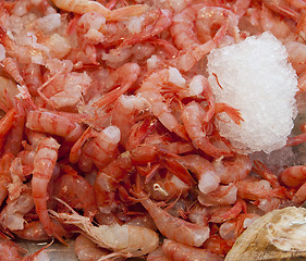 Image showing Shrimps