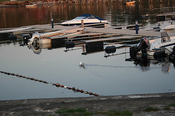 Image showing Seagull in port