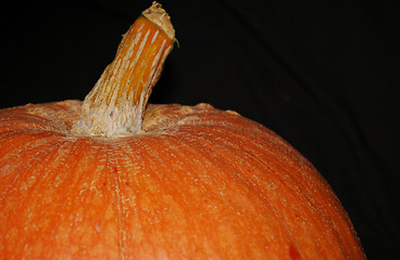 Image showing Pumpkin