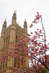 Image showing Spring in London