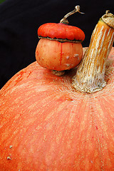 Image showing Autumn pumpkin composition