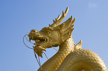 Image showing Golden dragon over blue sky