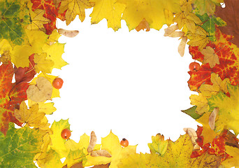 Image showing Autumn leaves