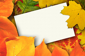 Image showing Autumn card