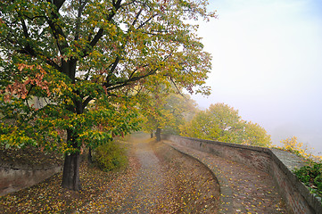 Image showing Fall morning