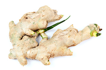 Image showing ginger over white background