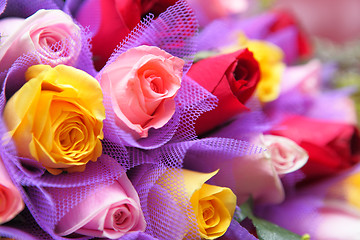 Image showing colourful rose