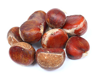 Image showing isolated chestnut